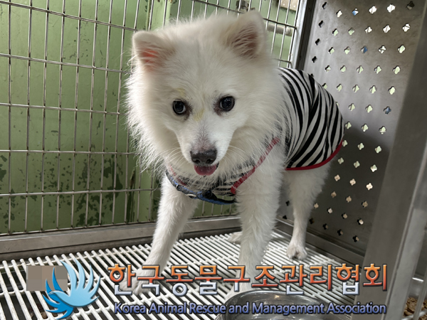 한국동물구조관리협회_411315202300328